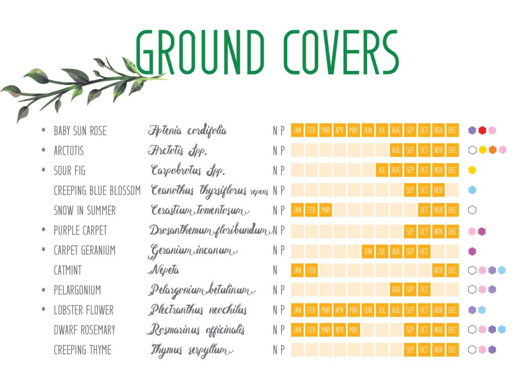 Ground covers