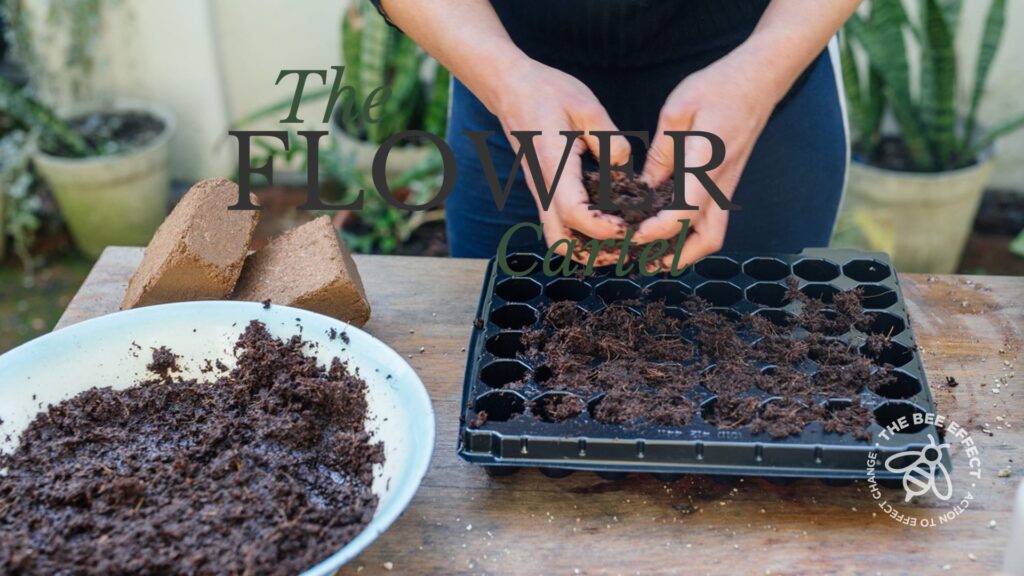 Germination Procedure. We are convinced that nothing is more fun and rewarding than growing your own plants from seed!